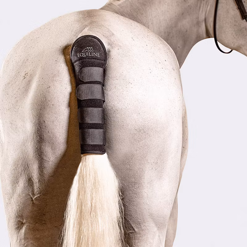 Equiline Noll svansskydd