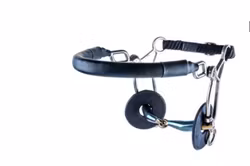 Trust Sweet Iron Hackamore combi