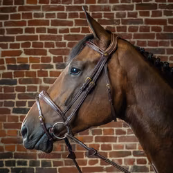 Dyon Träns Anatomic Flash Nosgrimma D