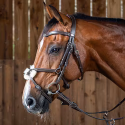Dyon Träns mexikansk nosgrimma W