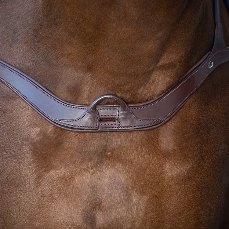 Dyon Anatomisk brösta 5-punkts N