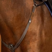 Dyon Brösta med brygga W