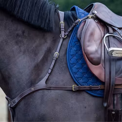 Dyon Anatomisk brösta 5-punkts D