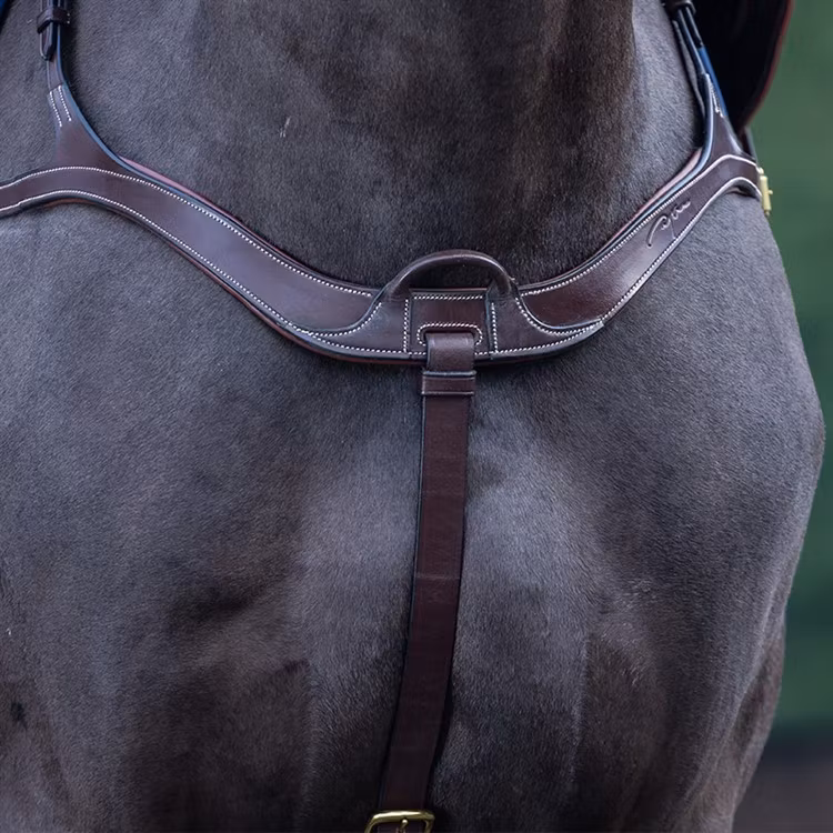 Dyon Anatomisk brösta 5-punkts D