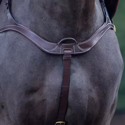 Dyon Anatomisk brösta 5-punkts D