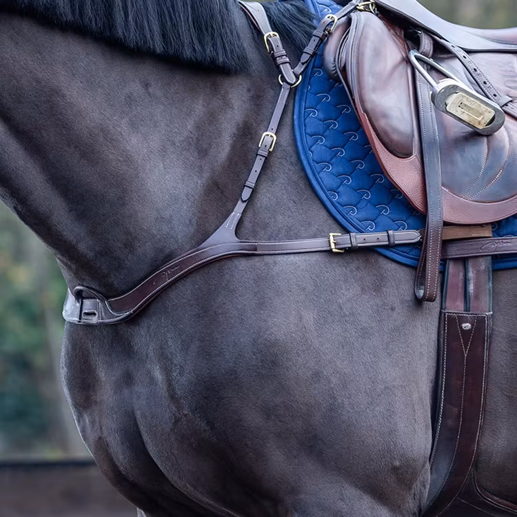 Dyon Anatomisk brösta 5-punkts D