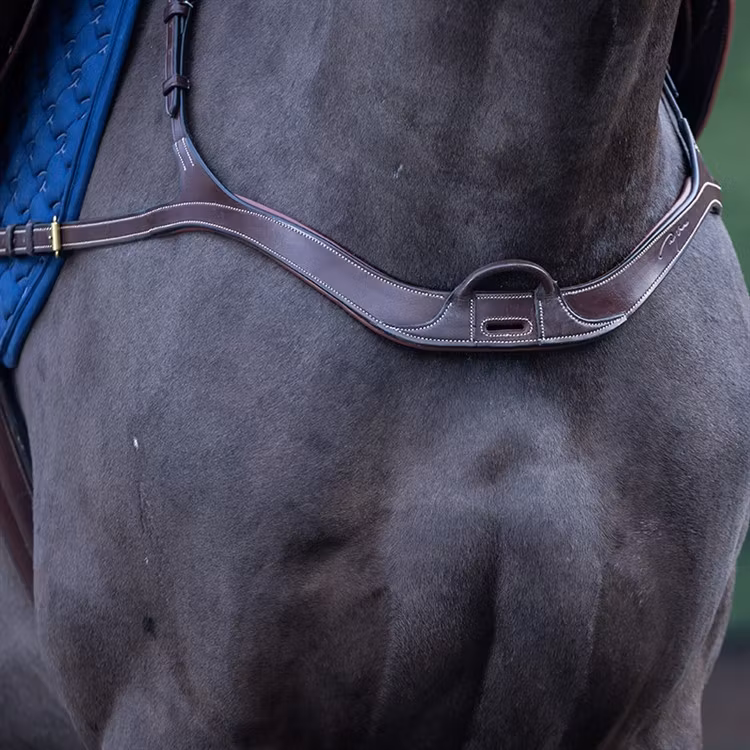 Dyon Anatomisk brösta 5-punkts D