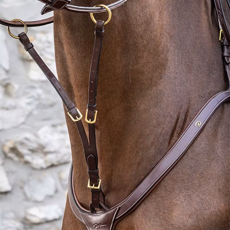 Dyon Kort martingal till brösta D