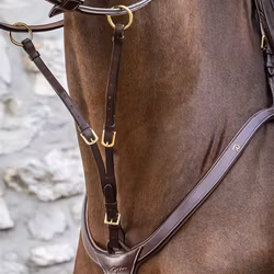 Dyon Kort martingal till brösta D