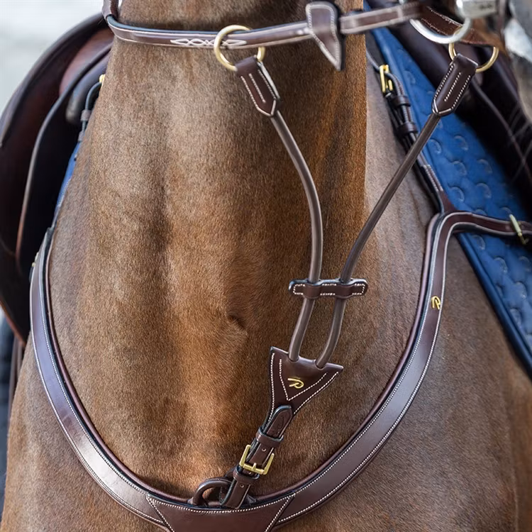 Dyon Elastisk kort martingal D