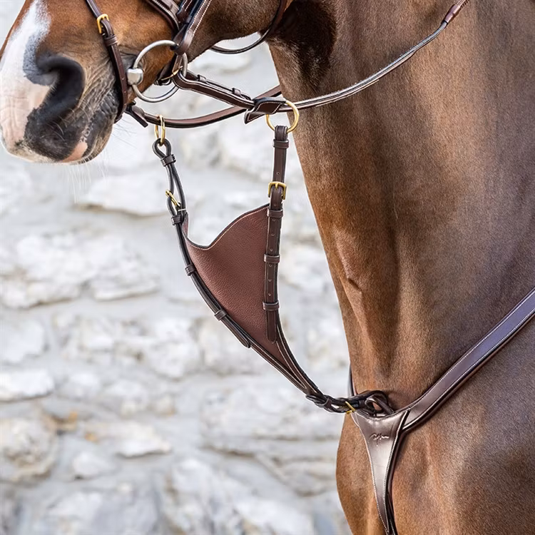 Dyon Kort martingal Bib soft D