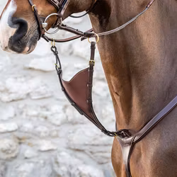 Dyon Kort martingal Bib soft D