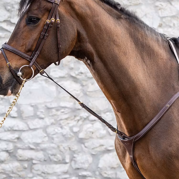 Dyon Kort fast martingal D