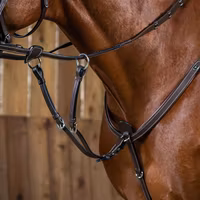 Dyon Kort martingal till brösta W