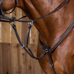 Dyon Kort martingal till brösta W