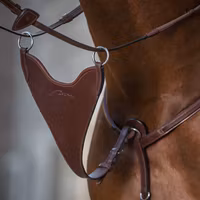 Dyon Kort martingal Bib hard N