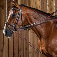 Dyon Gramantygel Läder/nylon 5/8" W