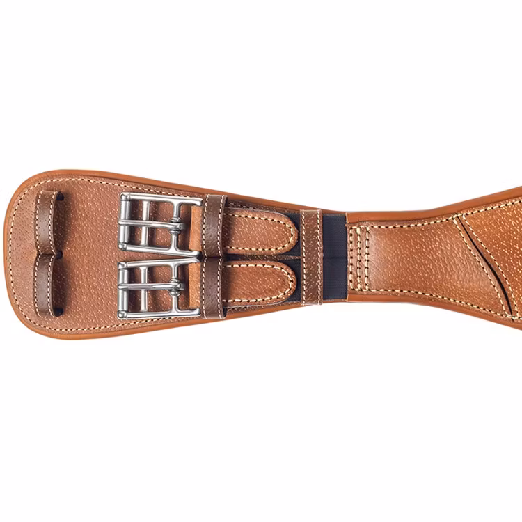 Renaissance dressyrgjord