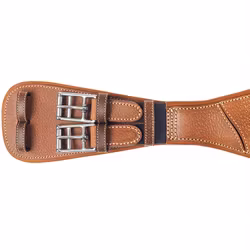 Renaissance dressyrgjord