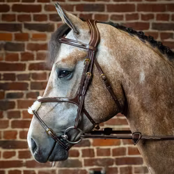 Dyón Träns mexikansk nosgrimma D