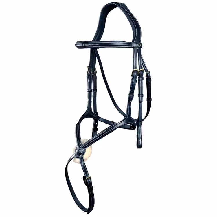 Dyón Träns mexikansk nosgrimma D