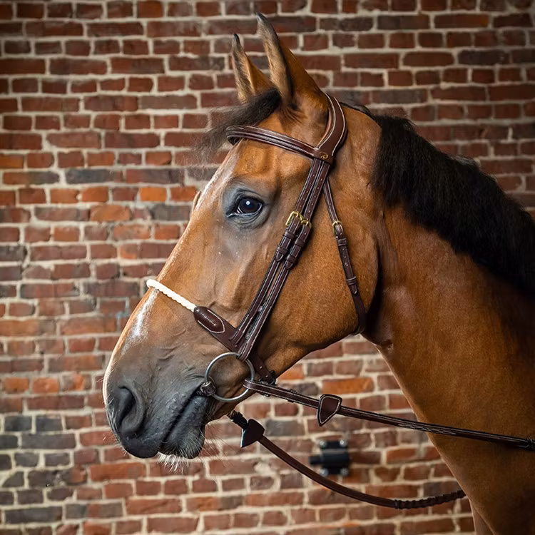 Dyon träns repnosgrimma D