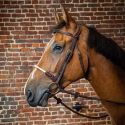 Dyon träns repnosgrimma D