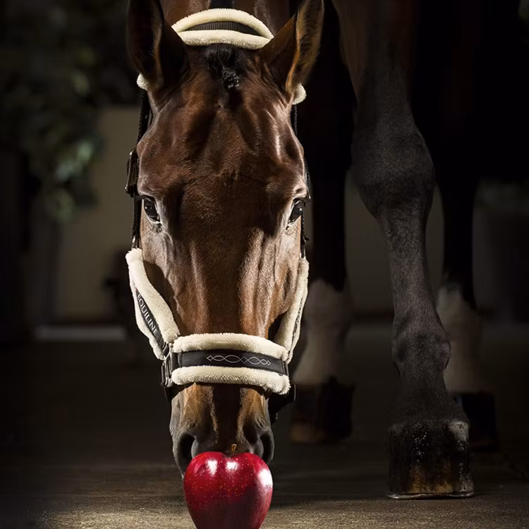 Equiline Tom grimma m fårskinn