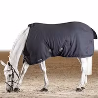 Stalltäcke Atlanta 200gr Equline