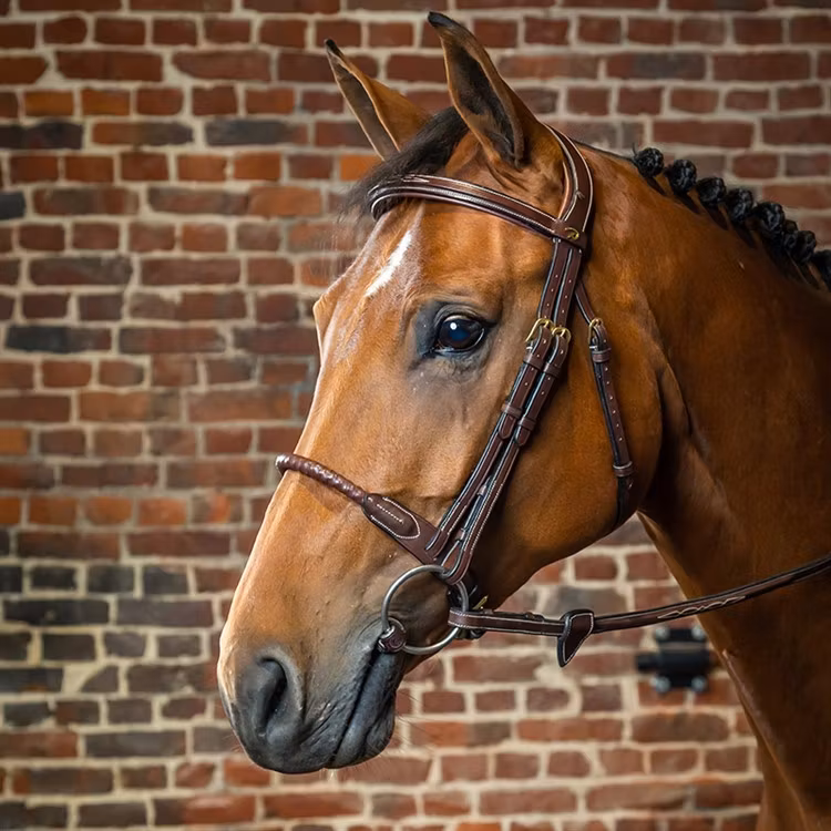 Dyon Träns läderklädd repnosgrimma D