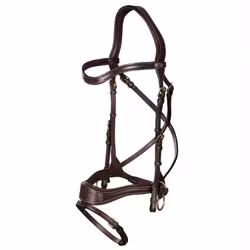 Dyon Träns D Motion D