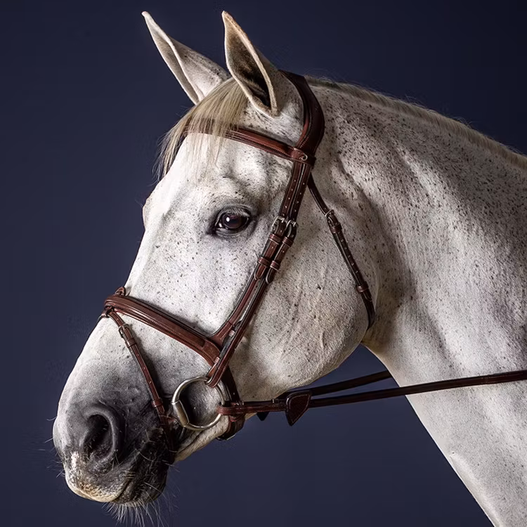 Dyon Träns kombinerad nosgrimma N