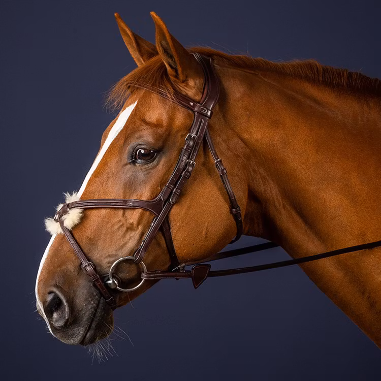 Dyon Träns mexikansk nosgrimma N