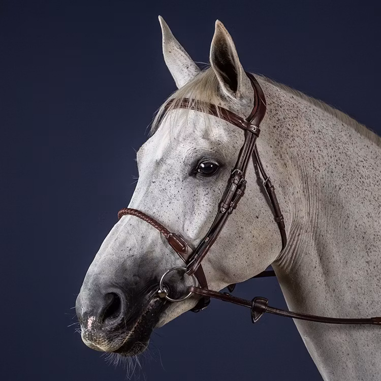 Dyon Träns läderklädd repnosgrimma N