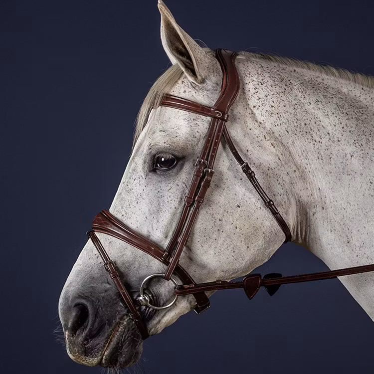 Dyon Träns Anatomic Flash Nosgrimma N