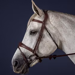 Dyon Träns Anatomic Flash Nosgrimma N