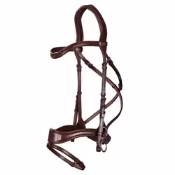 DyonTräns D Motion N