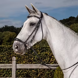 Dyon Träns Drop Nosgrimma N