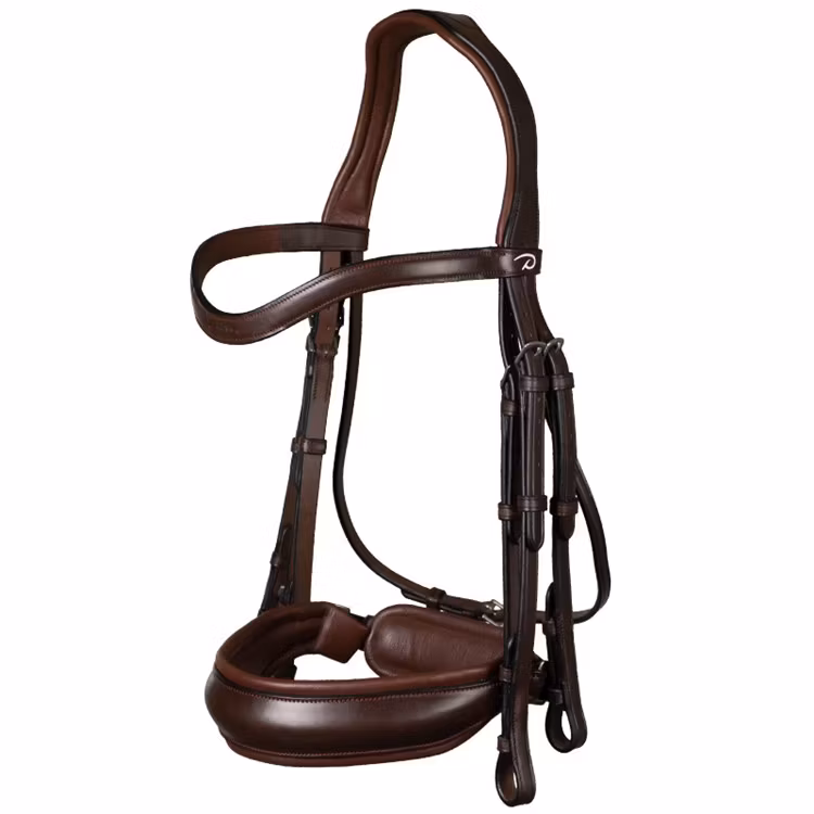 Dyon Kandar bred nosgrimma DR