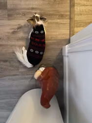 Equiline Stickad Hundtröja