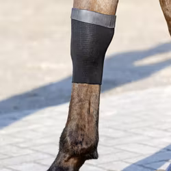 Kentucky Tendon Grip Gel