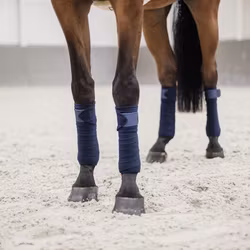 Kentucky Polar Fleece Glitter Bandage