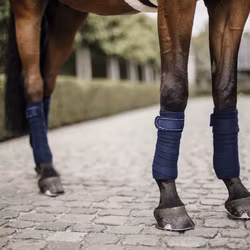 Kentucky Polar Fleece Bandage Pearls