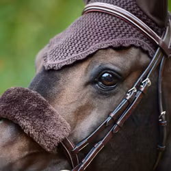 Kentucky Huva Soundless