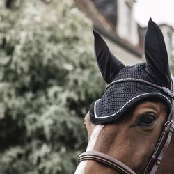 Kentucky Wellington Cordury