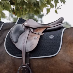 Kentucky Schabrak Softshell