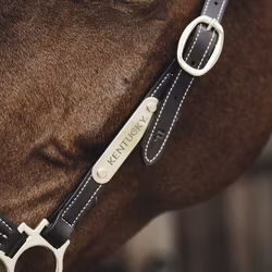 Kentucky Name Plate Halter