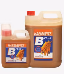 Equine Haemavite B Plus