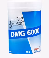 Equine DMG 6000