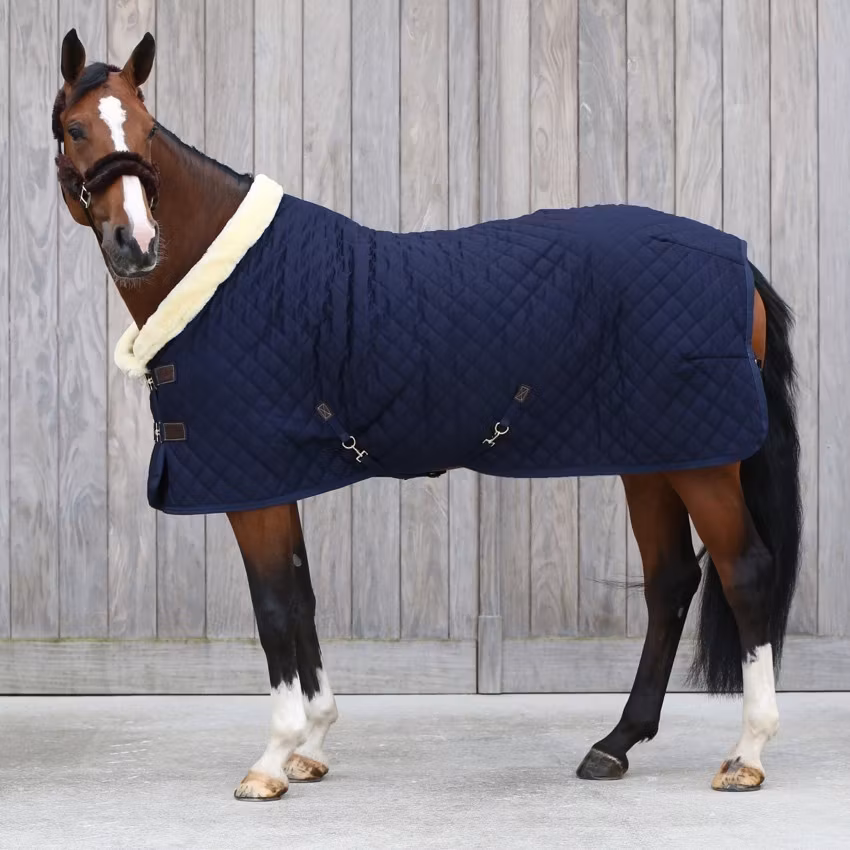 Kentucky  showrug 160 g